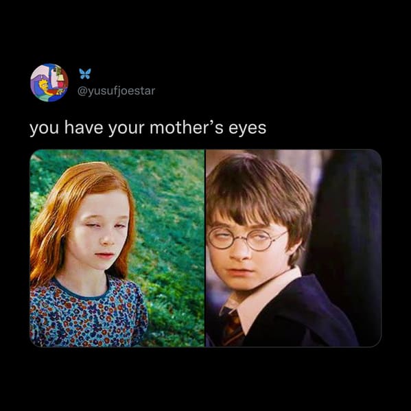 30 Hilarious Harry Potter Memes To Celebrate The 20-Year Anniversary Of The  First Movie - Better Book Titles